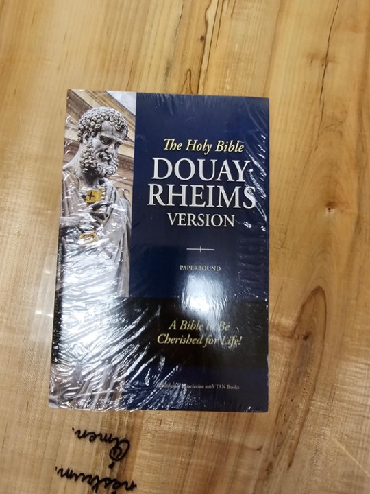 Bible, Paperback Study, Douay Rheims