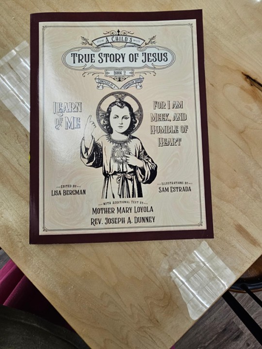 A Child's True Story Of Jesus Book 2