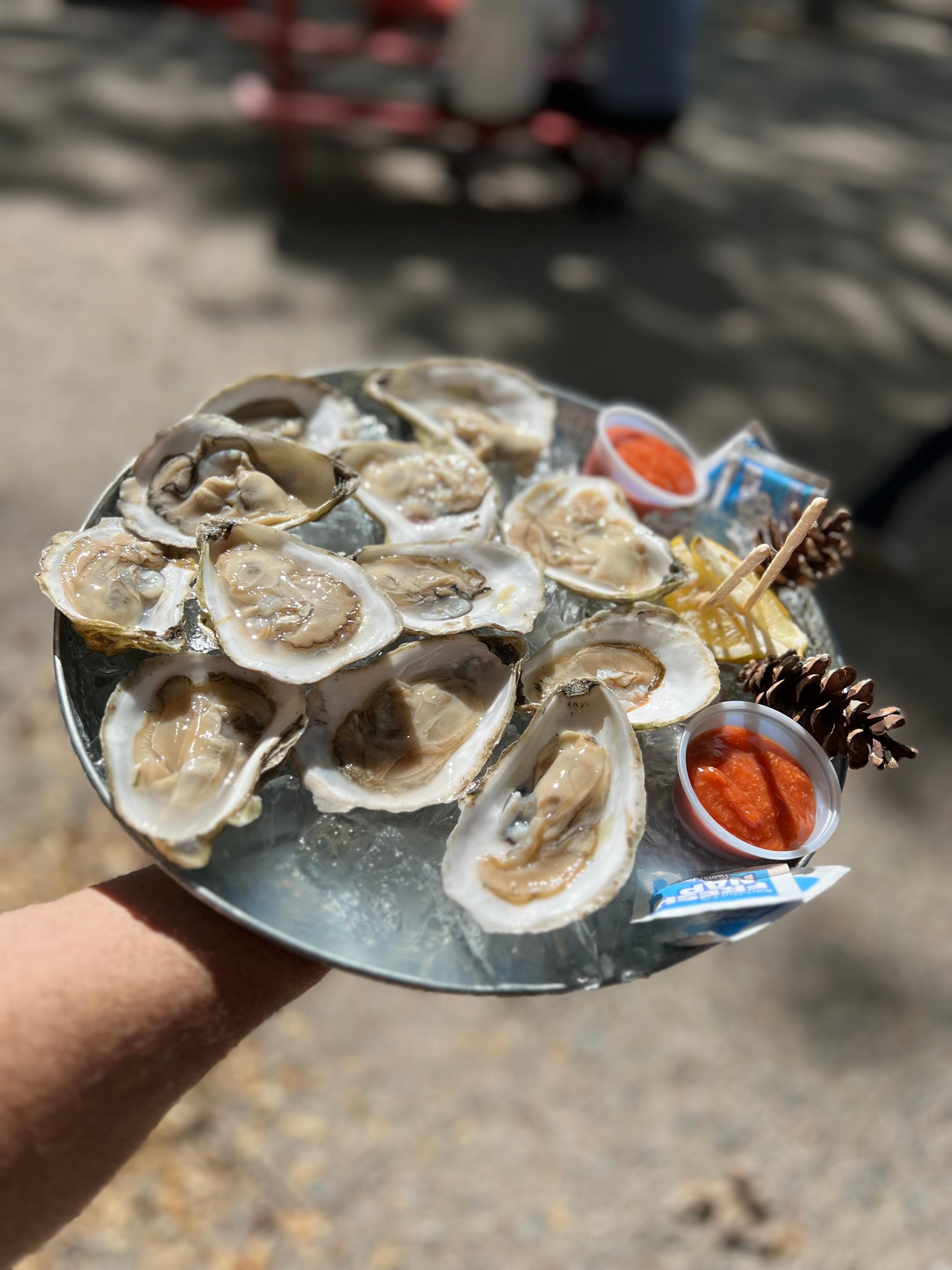OYSTERS SHUCKED (12)