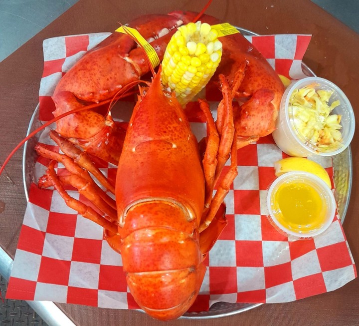 LOBSTER DINNER