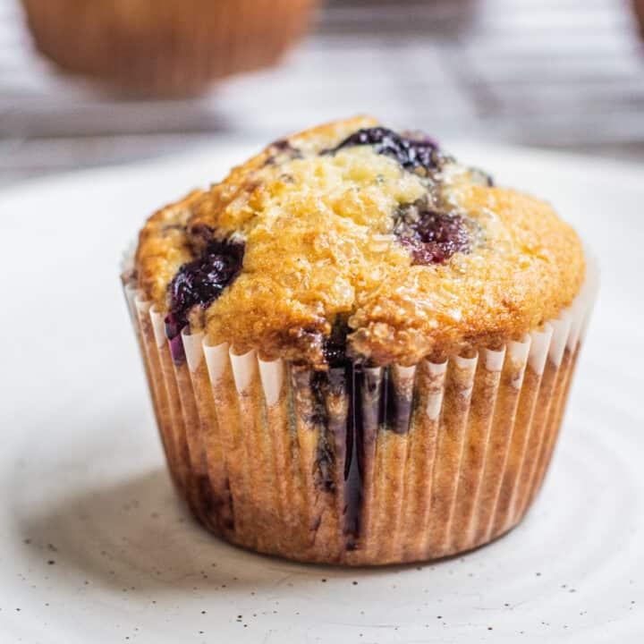 BLUEBERRY MUFFIN