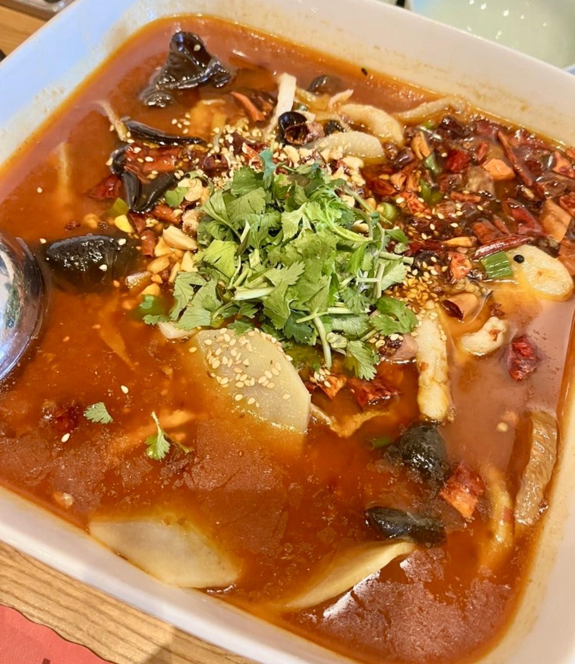 Pig Blood Tofu, Intestine & Tripe in Spicy Stew 🌶️🌶️招牌毛血旺