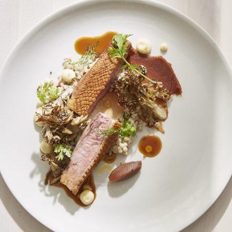 1/9 The Heirloom Duck