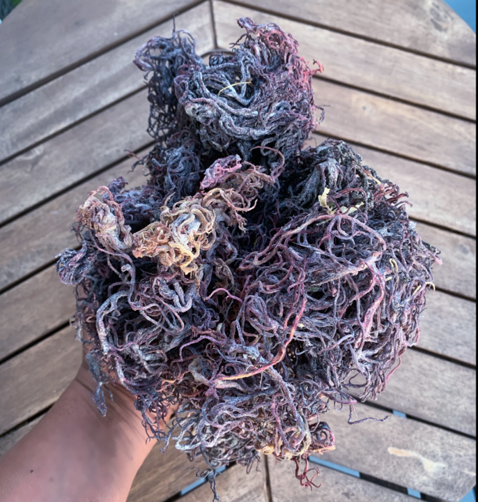 Purple Sea Moss- Raw