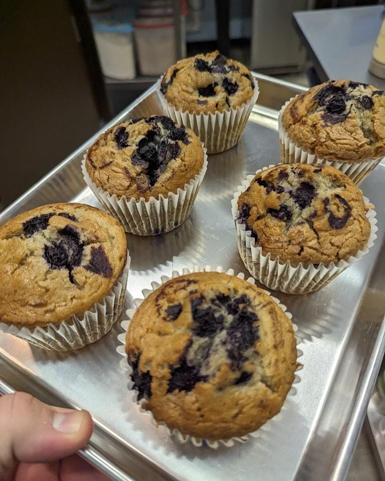 Jumbo Gluten Free Blueberry  Muffin