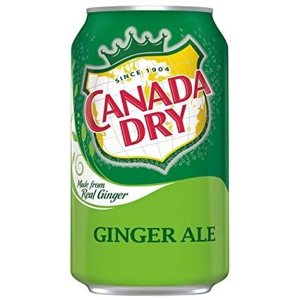 Ginger Ale Can (12 oz)