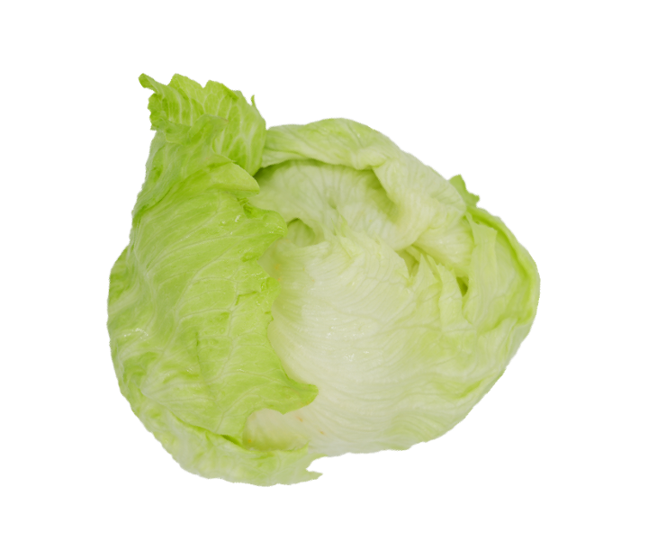 29. 生菜 Lettuce