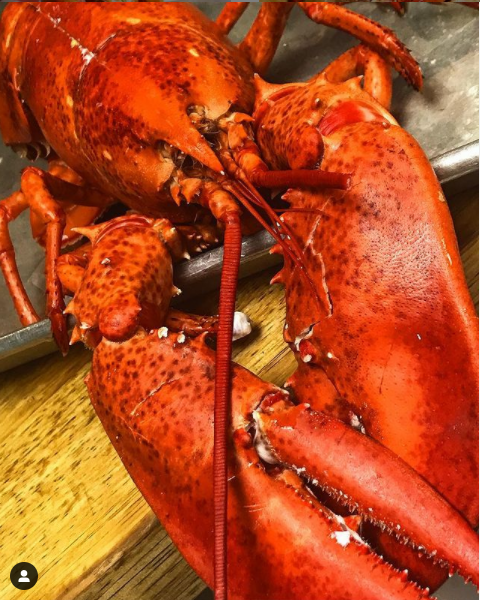 Fresh Maine lobster dinner!