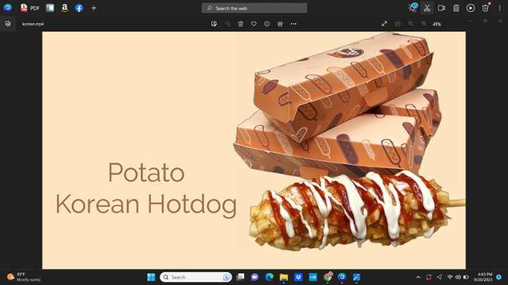 Potato Hotdog