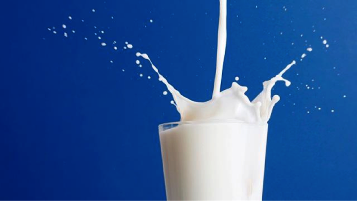 Large White Milk