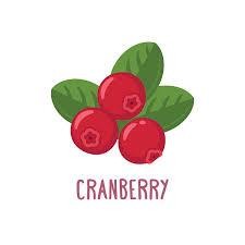 Cranberry Juice