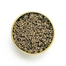 Golden Goat Caviar Siberian Sturgeon