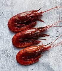 WILD CAUGHT SPANISH CARABINEROS  2.2 LB