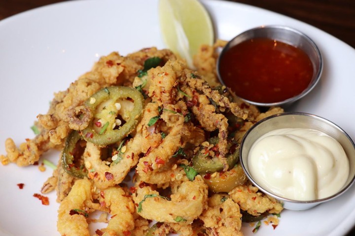 Fried Calamari