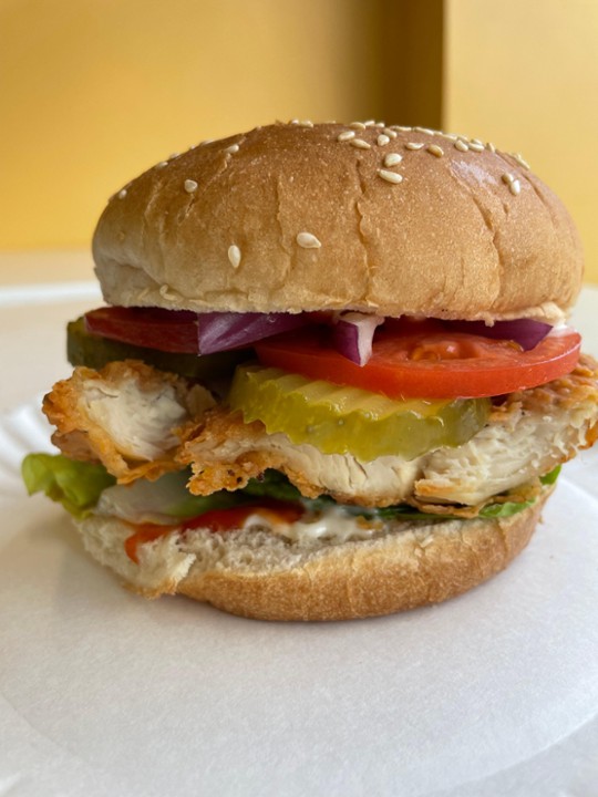 Crispy Chicken Burger Pattie with Fries