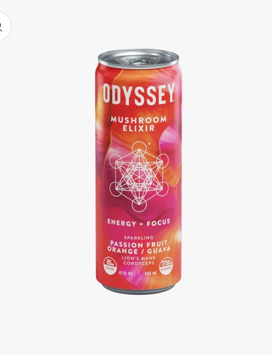 Odyssey Sparkling Orange Ginger Mushroom Elixir - (Energy+Focus)