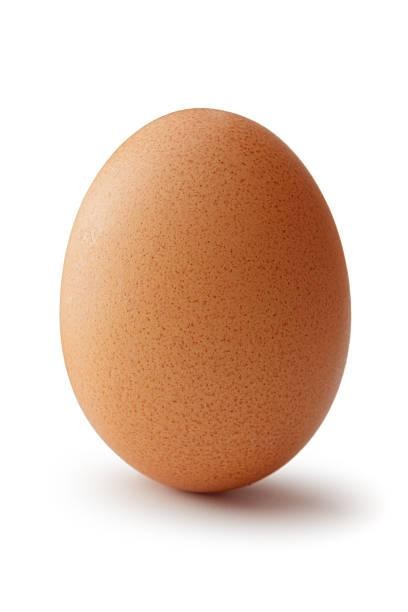 Single Egg