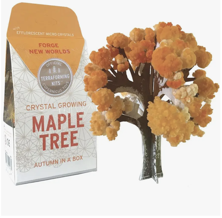 Copernicus Toys - Crystal Growing Maple Tree