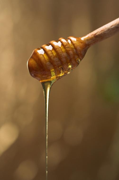 Honey Born to Swarm