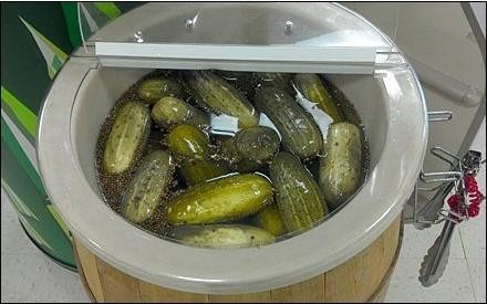 Deli Pickle