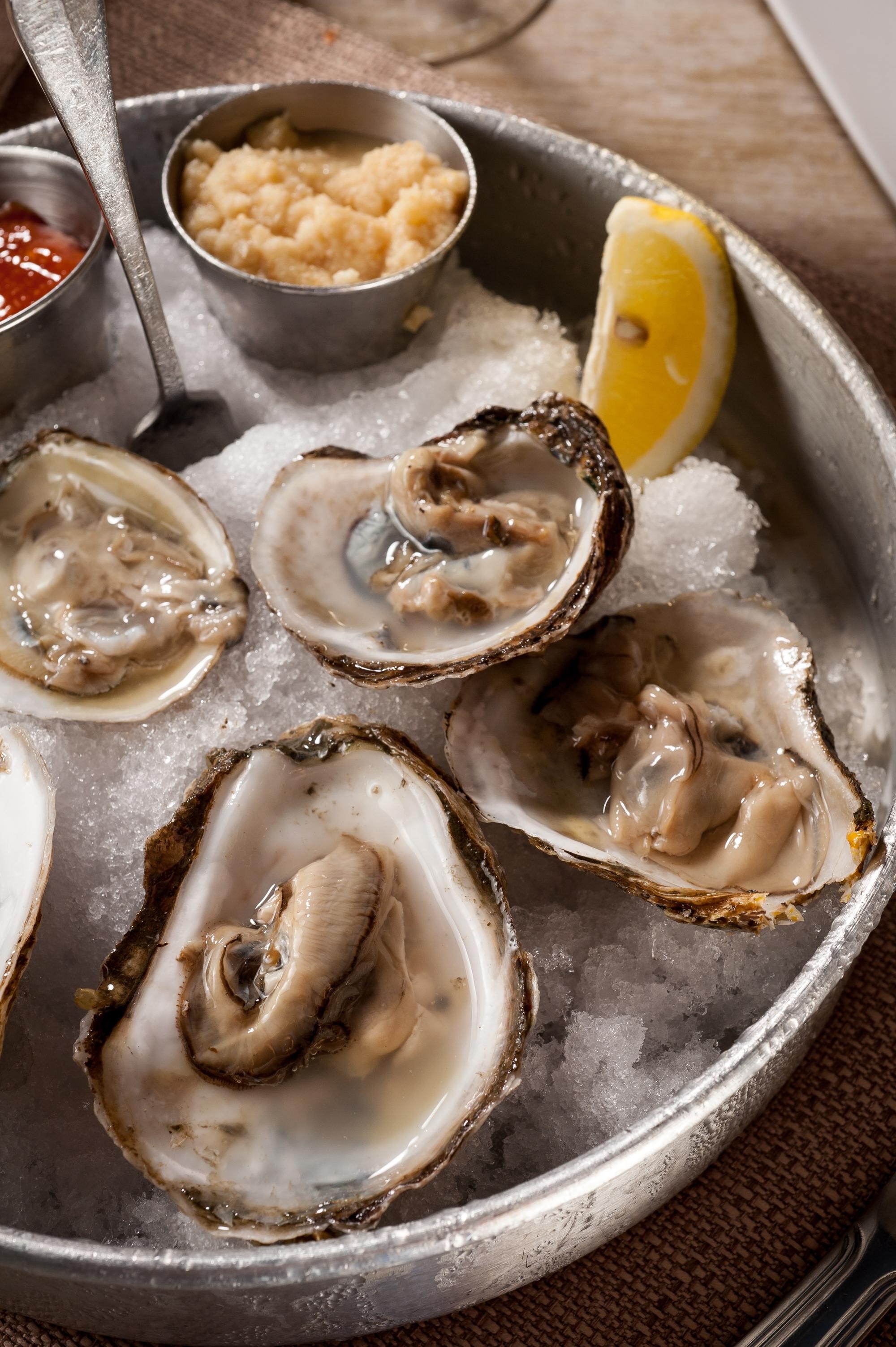 Oysters Half Dz.