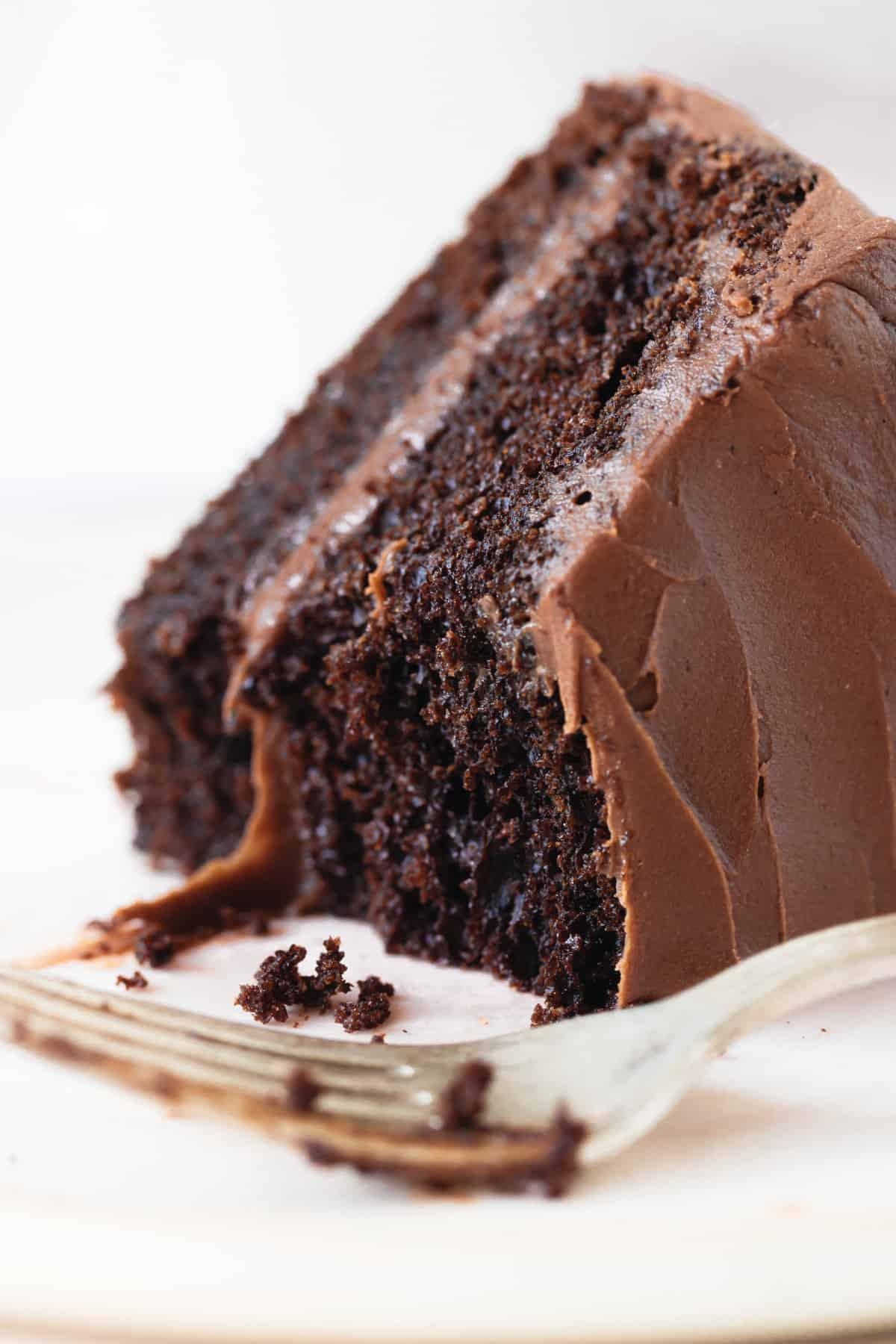 Chocolate/Chocolate Cake