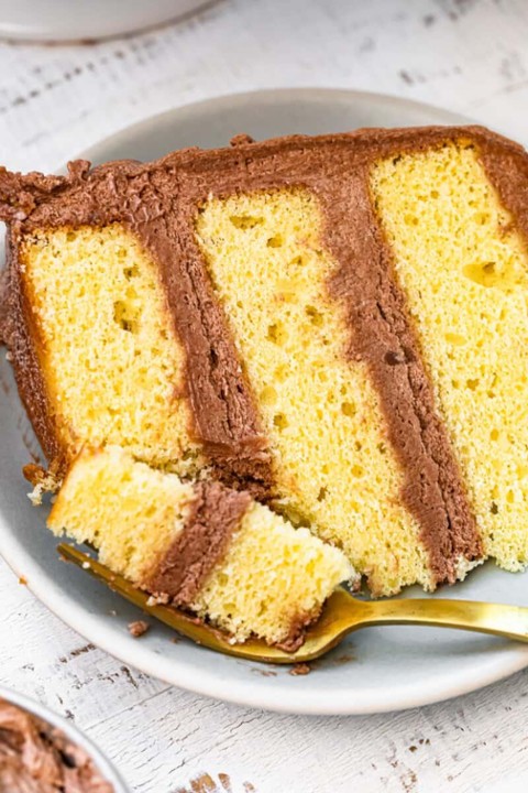 Chocolate/Yellow Cake