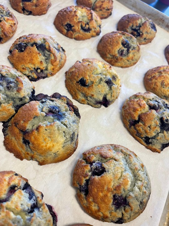 Lemon Blueberry Biscuits 6 Pack