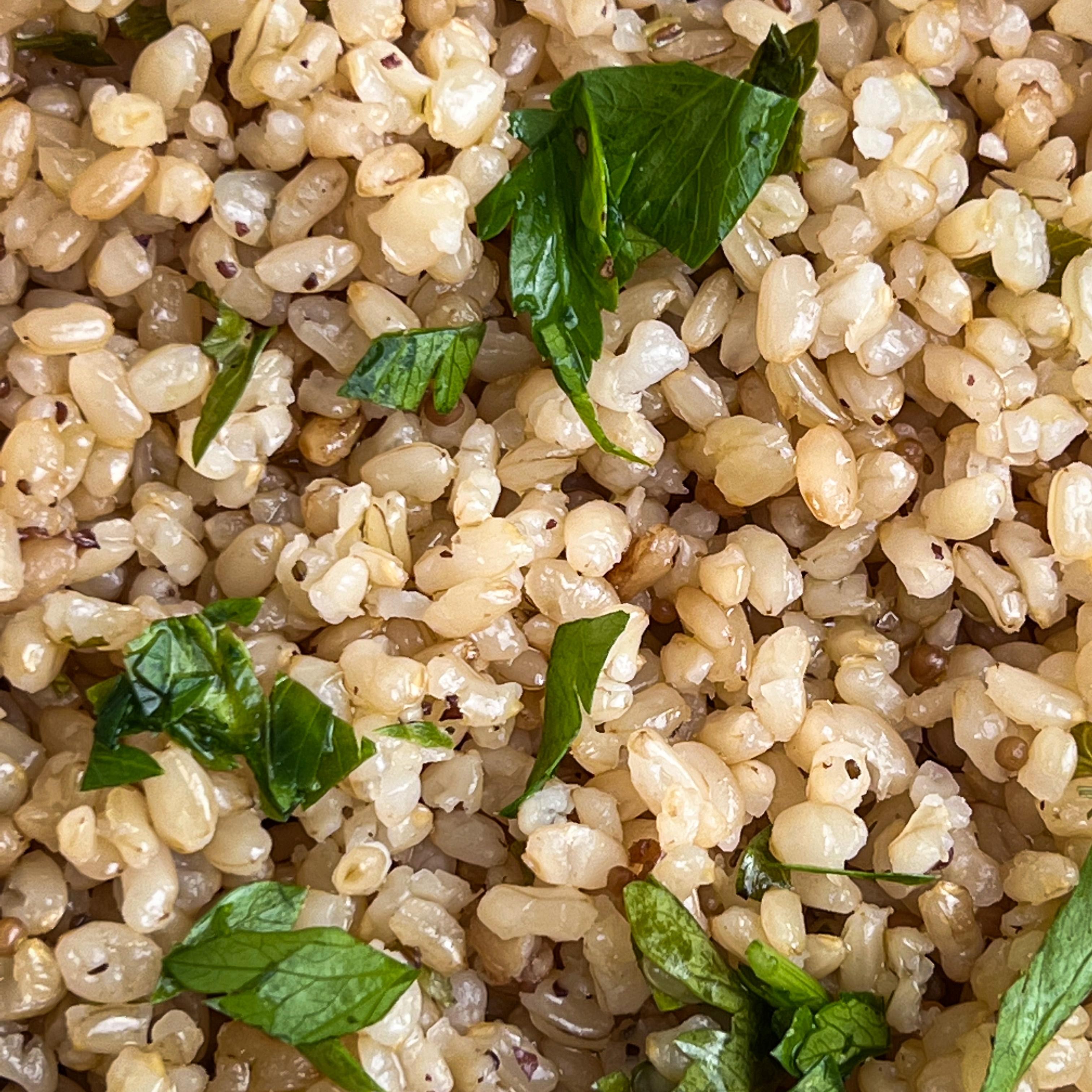 Sprouted Brown Rice