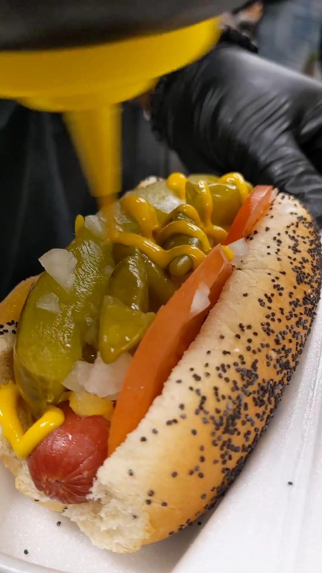 Big Dawg (Chicago Style Hotdog)