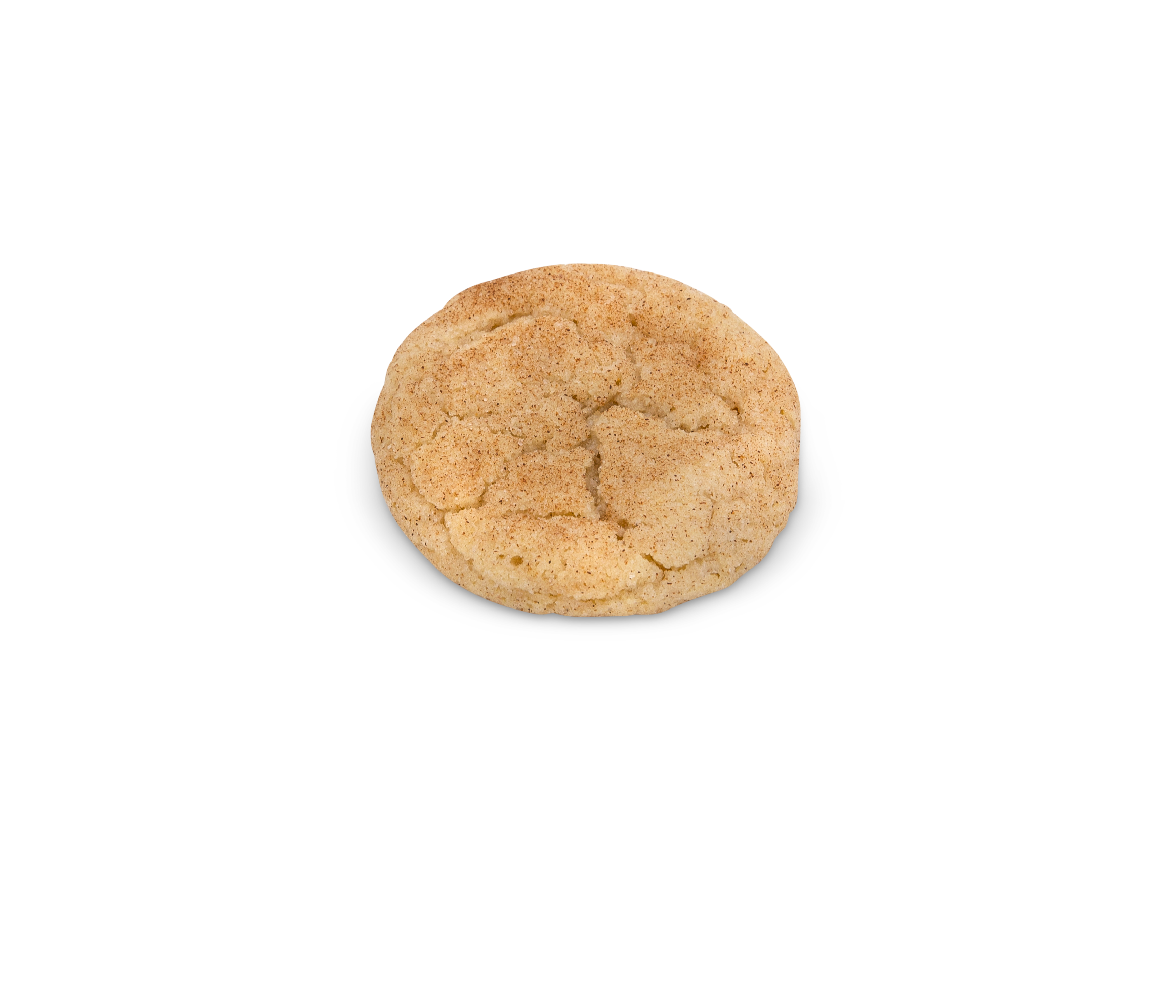 Soft & Chewy Snickerdoodle