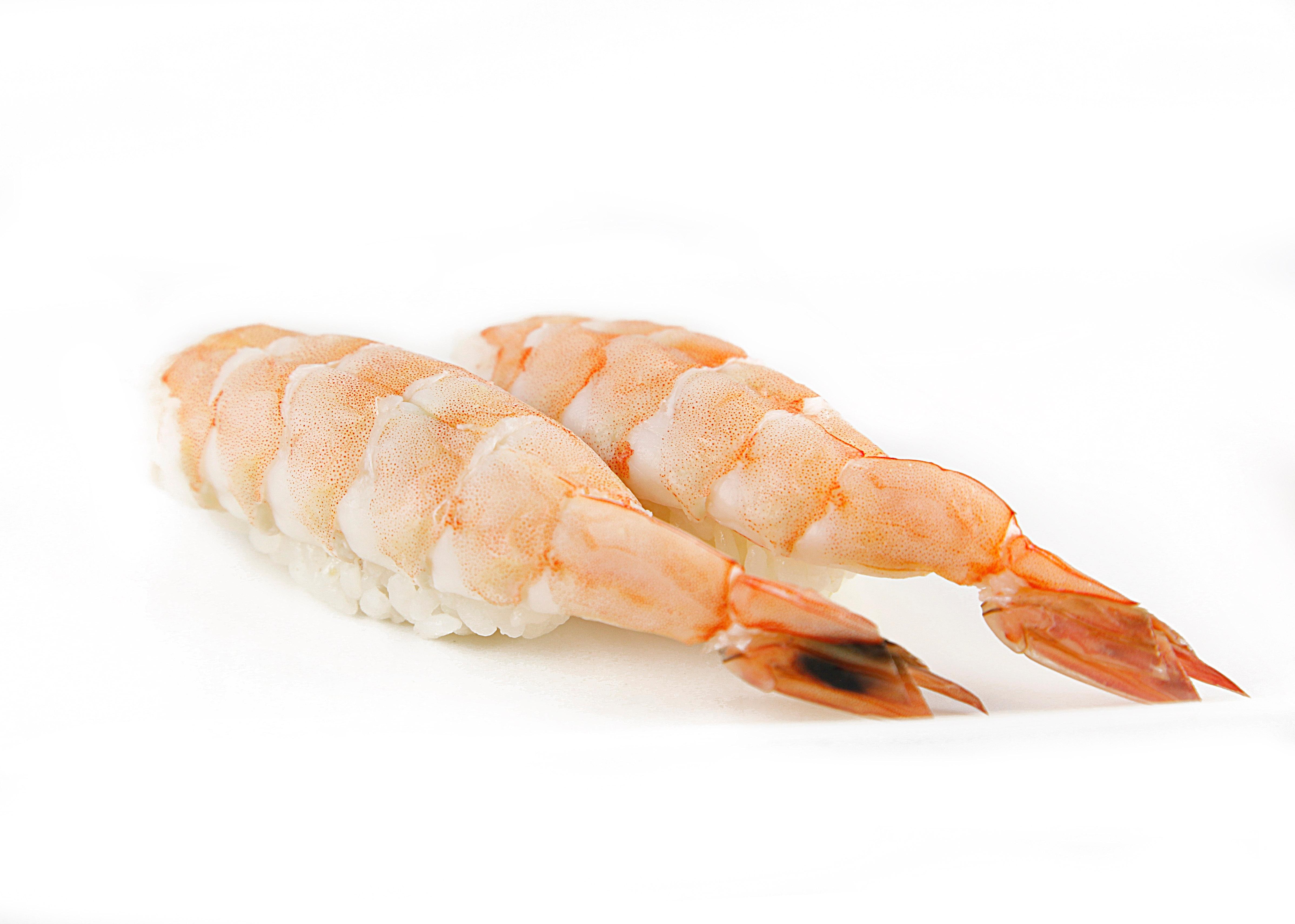 Shrimp N