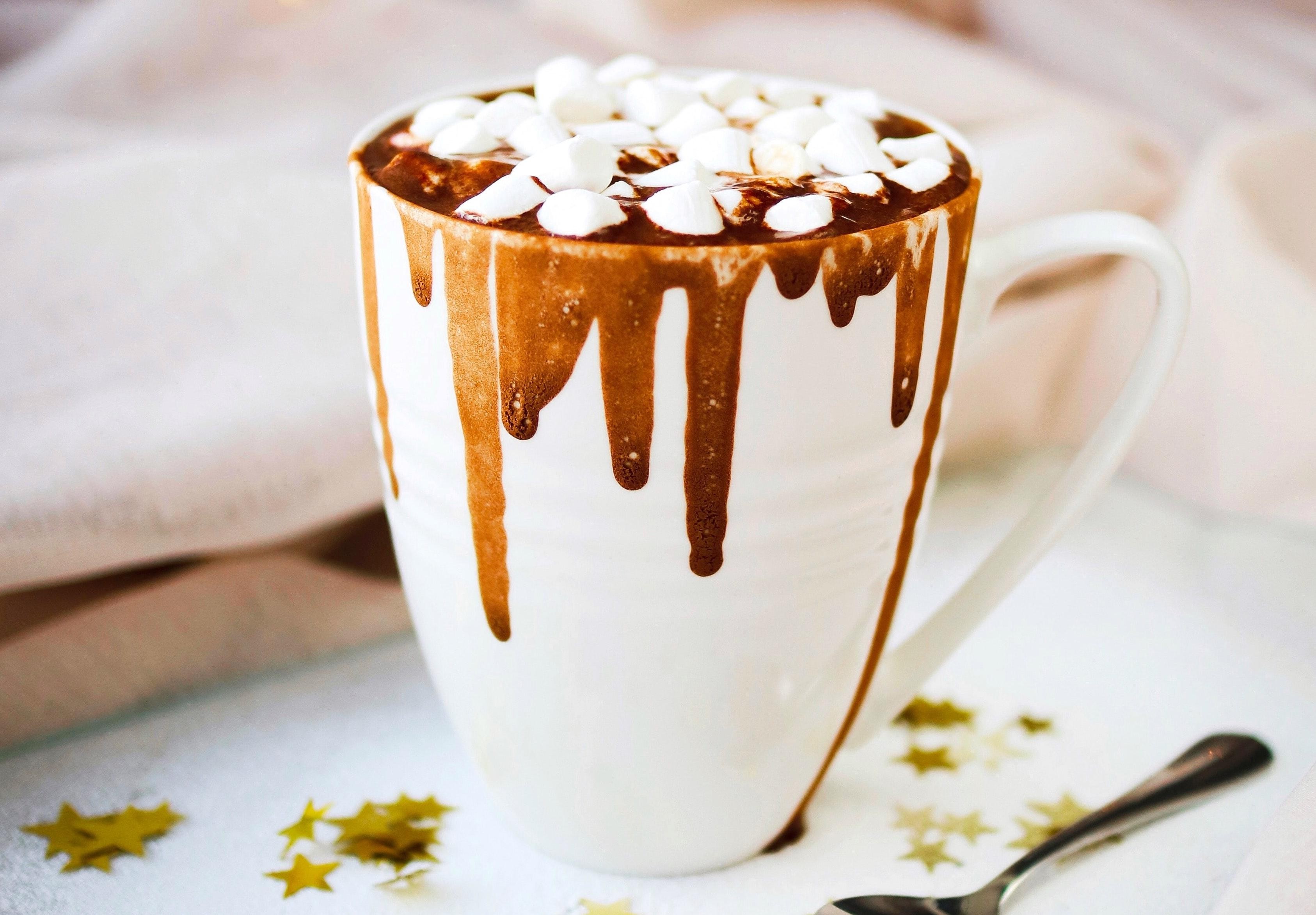 Ultimate Hot Chocolate (SE)