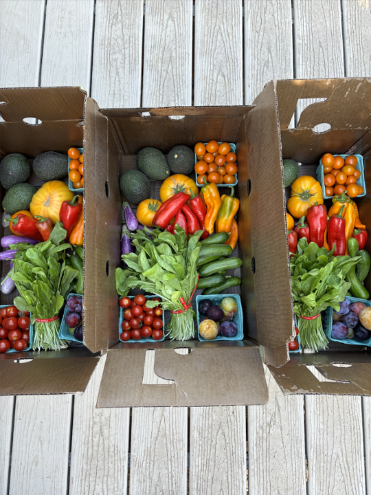 Box Farm Rickinghall - Pre-Ordered Farm Boxes are only available on FRIDAYS for local ...