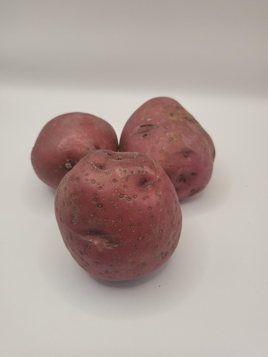 Potato RED