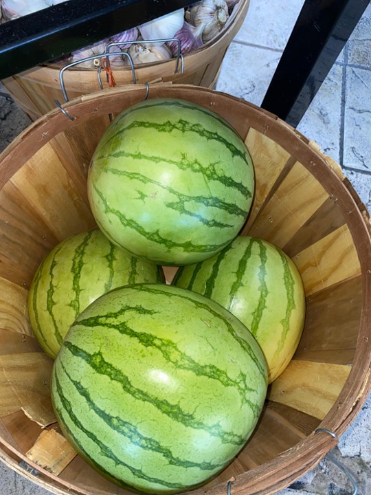 Watermelon / Sandia