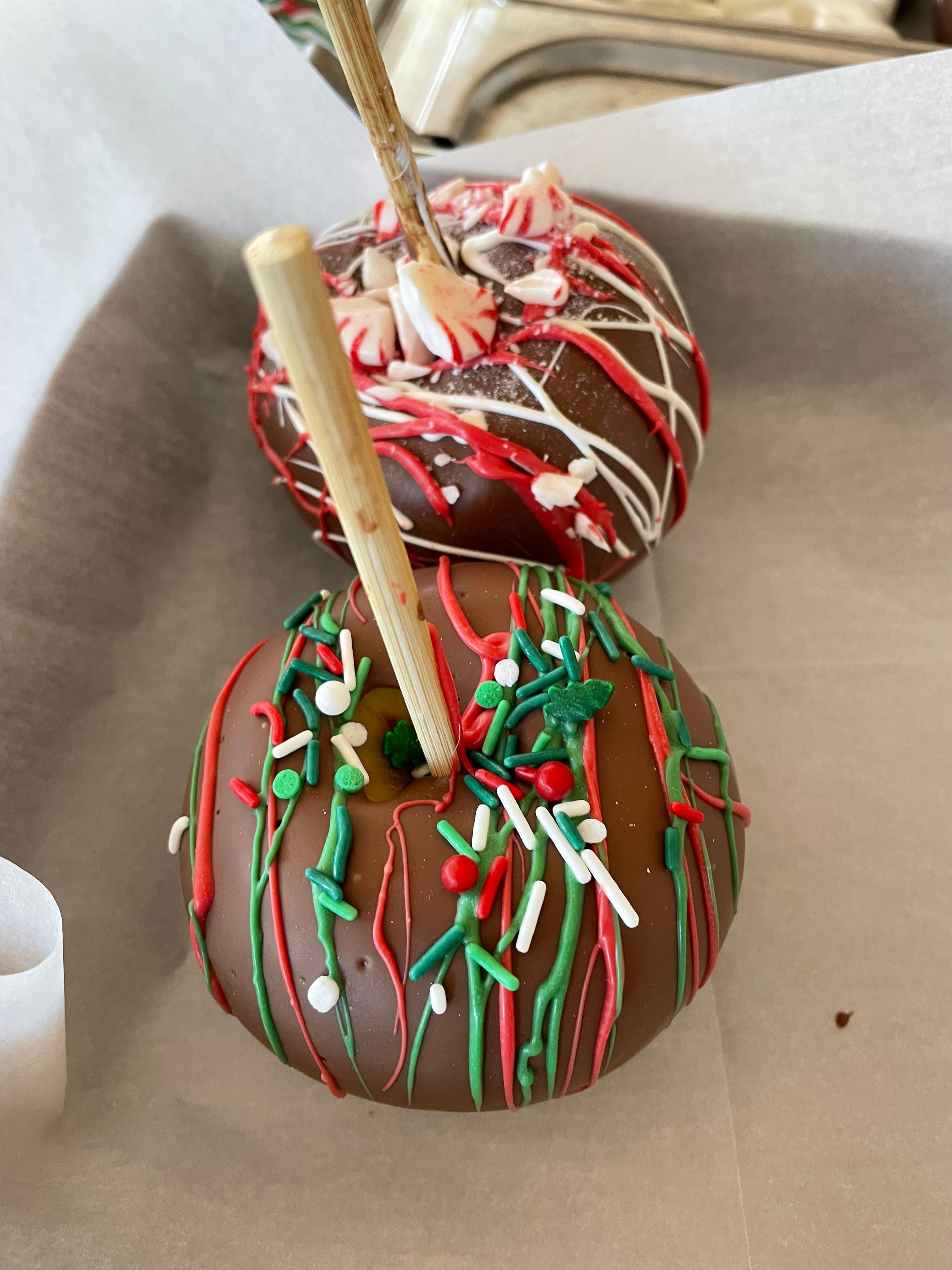 Chocolate Dipped Apple