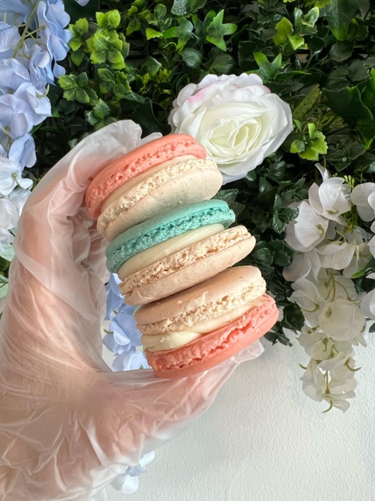 Berry Cheesecake Macaron