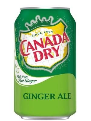 汽水 Ginger Ale