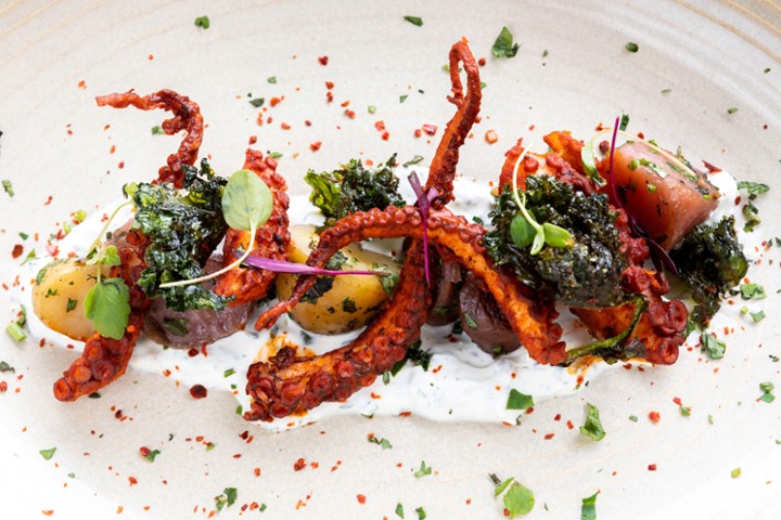 Harissa Seared Octopus