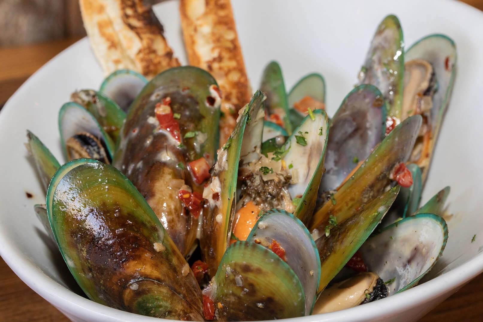 Mussels