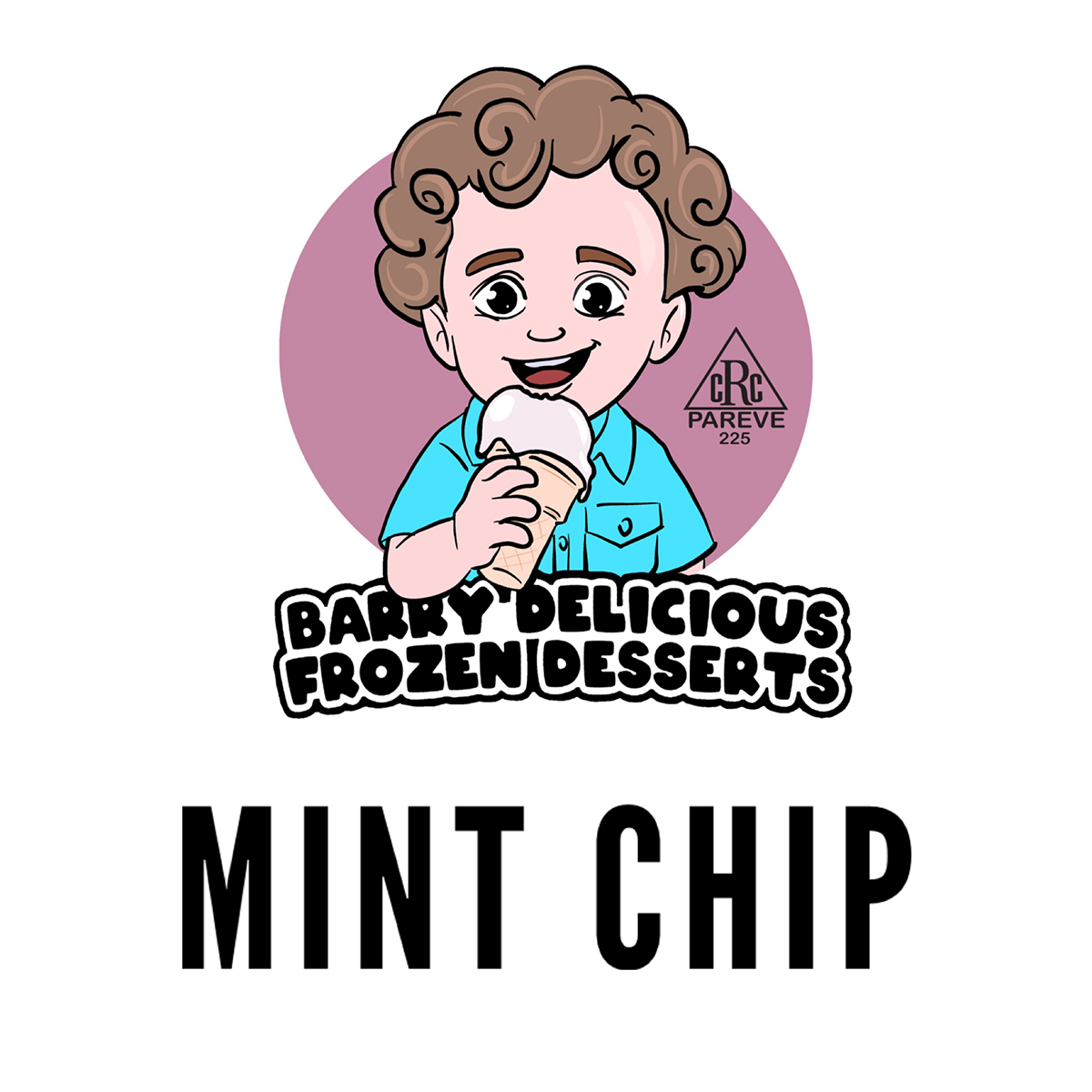 Mint Chip Barry Delicious Parve Ice Cream