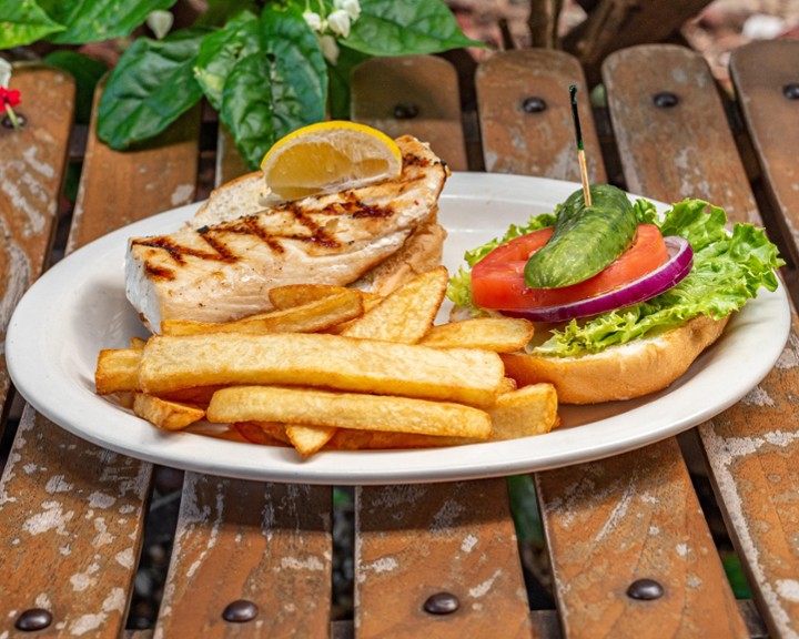 Thanksgiving pe games for preschoolers Thanksgiving pe games for preschoolers