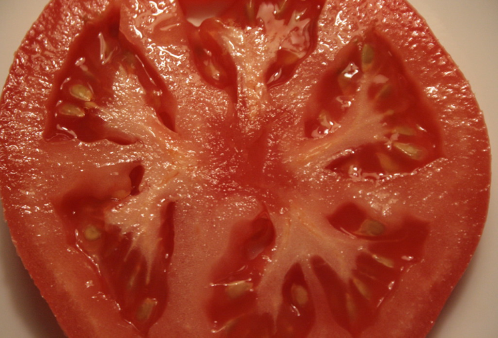 SIDE OF TOMATOES
