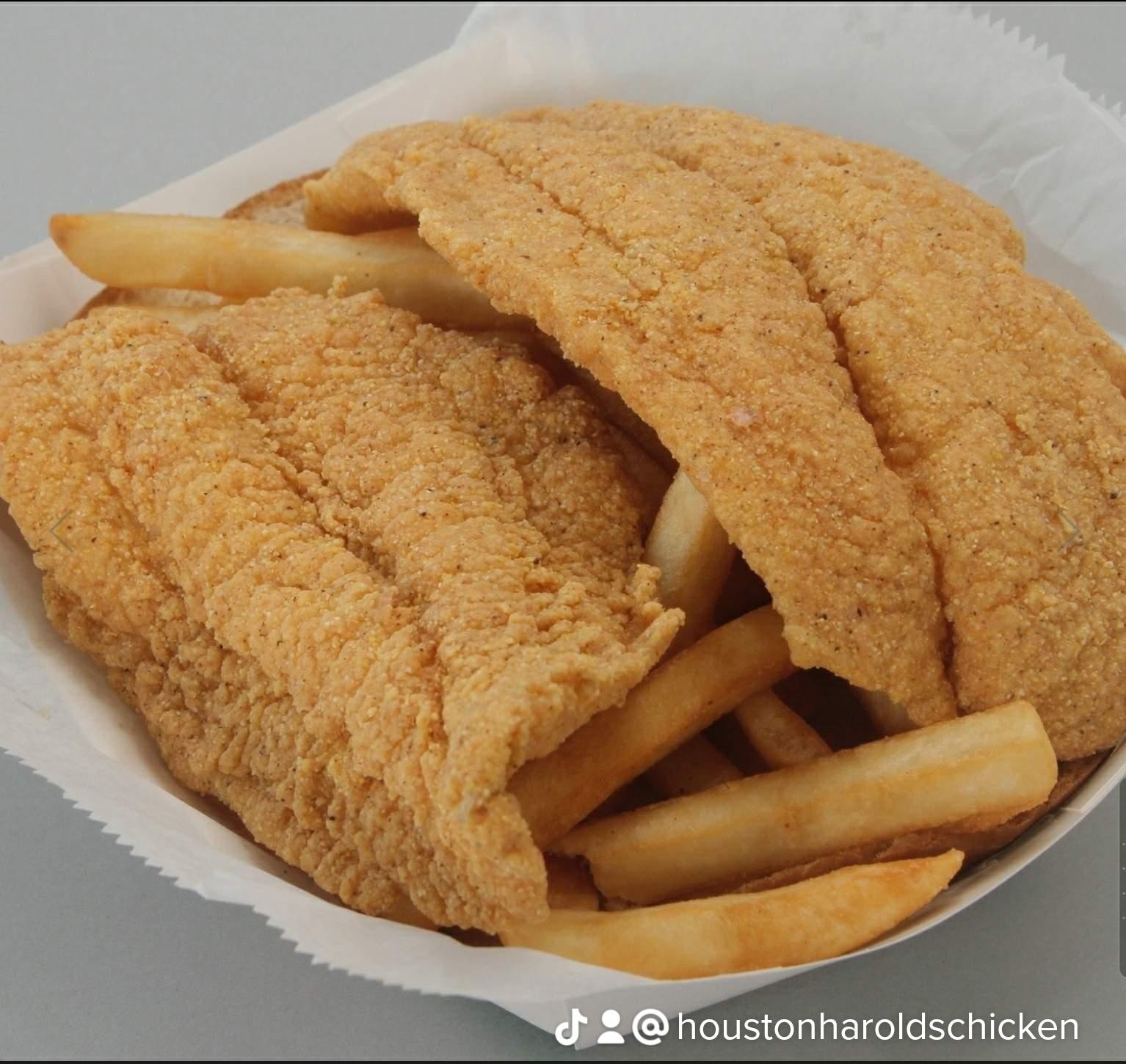 (Catfish Filets) (comes with fries, coleslaw & Bread)