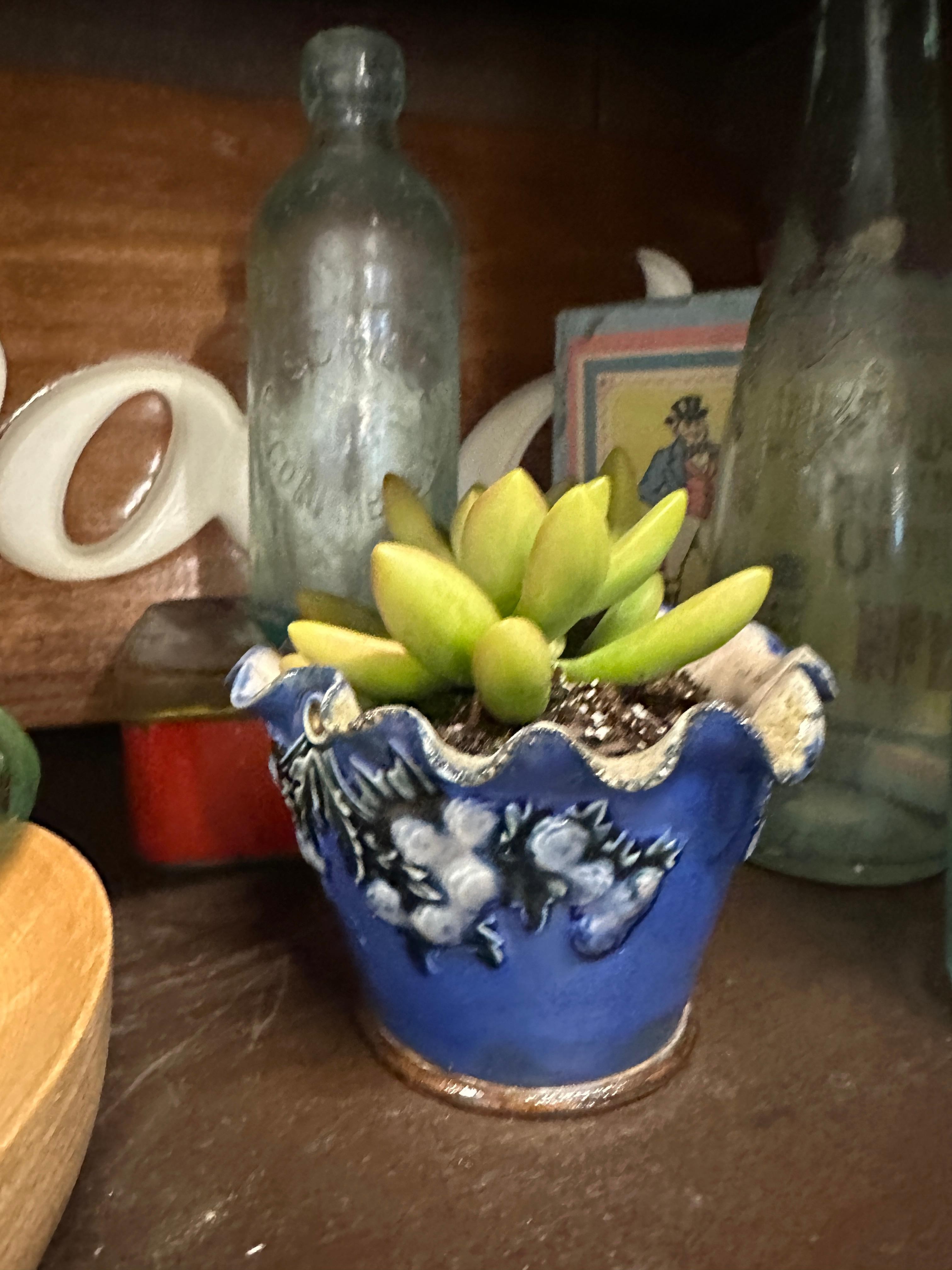 Vintage Vines Blue Pottery Succulent