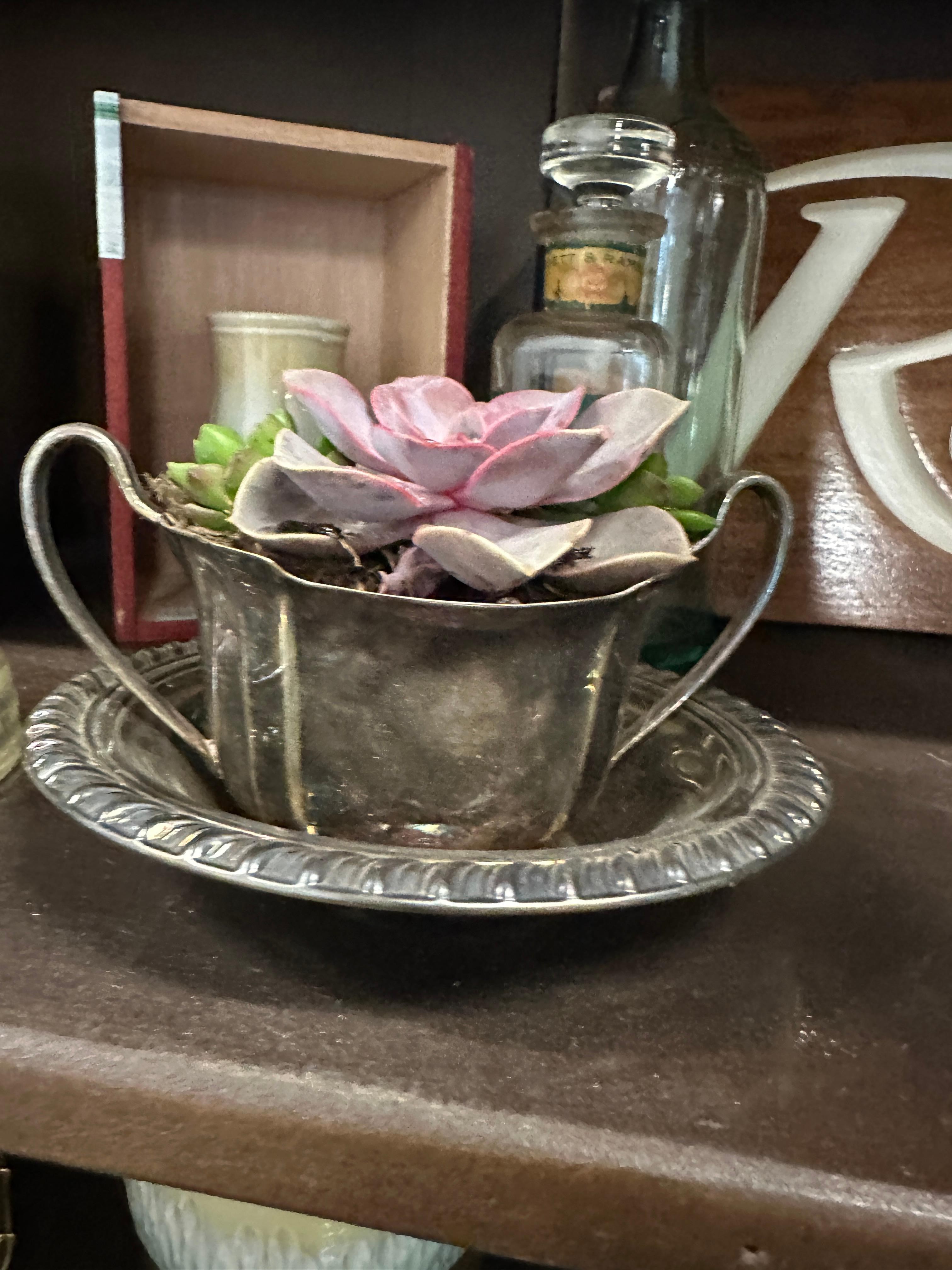 Vintage Vines Silver cup and Saucse
