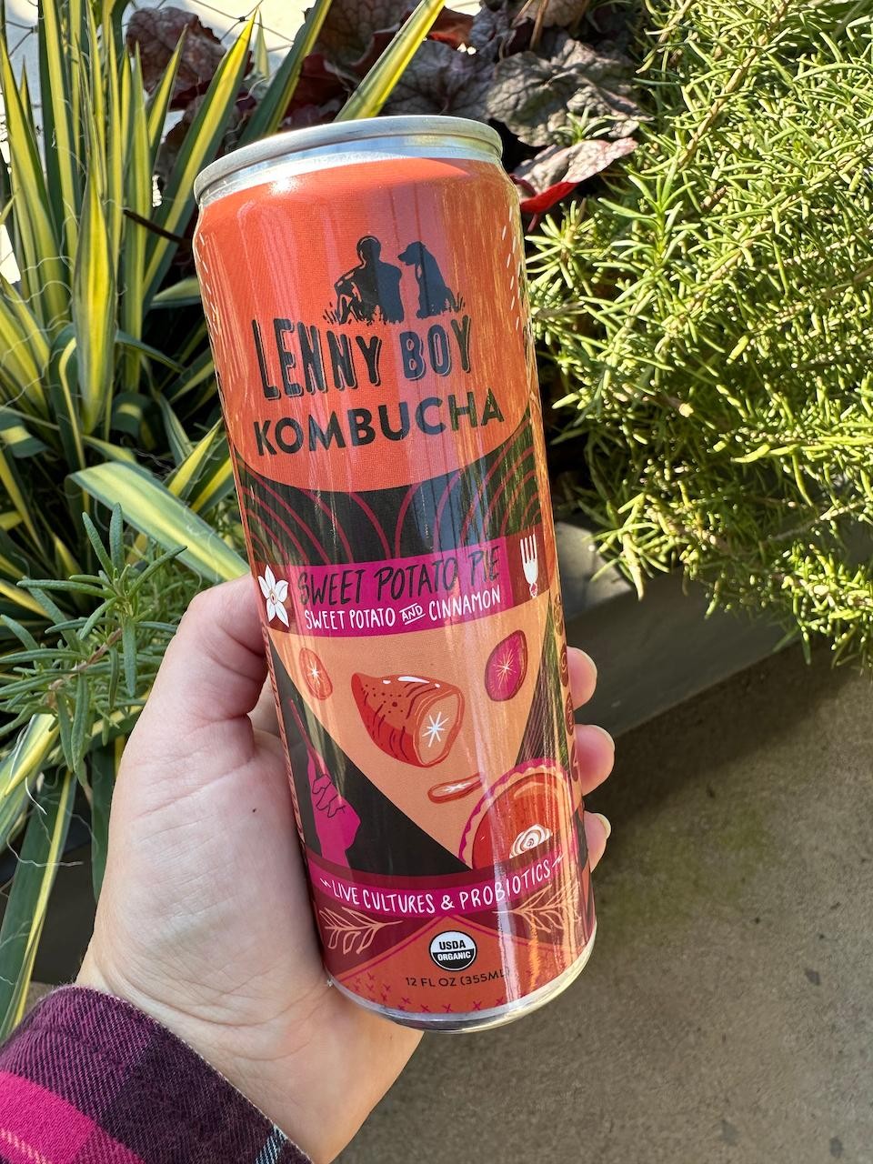Lenny Boy - Seasonal Kombucha