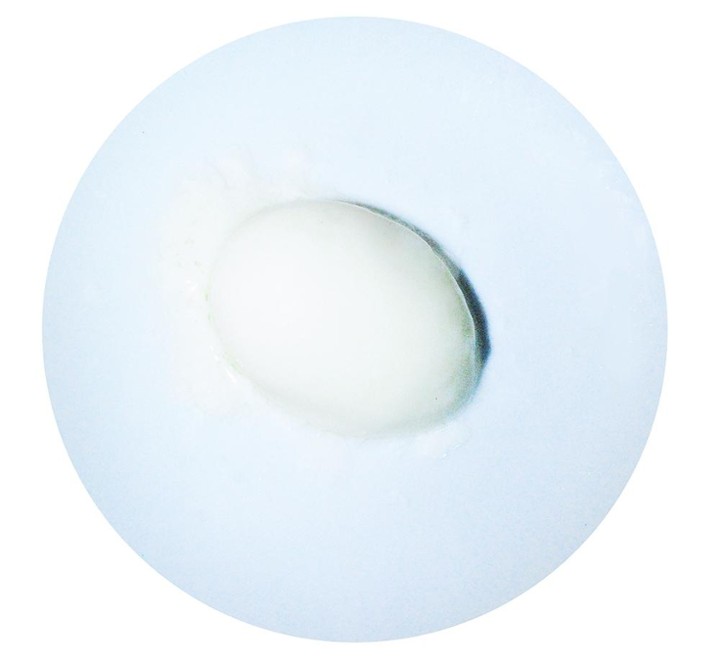 Onsen Tamago (Poached Egg)