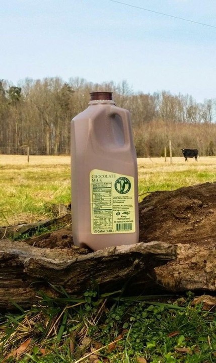 Homeland Creamery Chocolate Milk